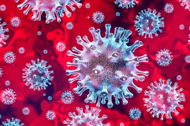 Сколько часов живет коронавирус? - «Новости Музыки»