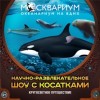 Центр океанографии и морской биологии «Москвариум» - «Прочее»