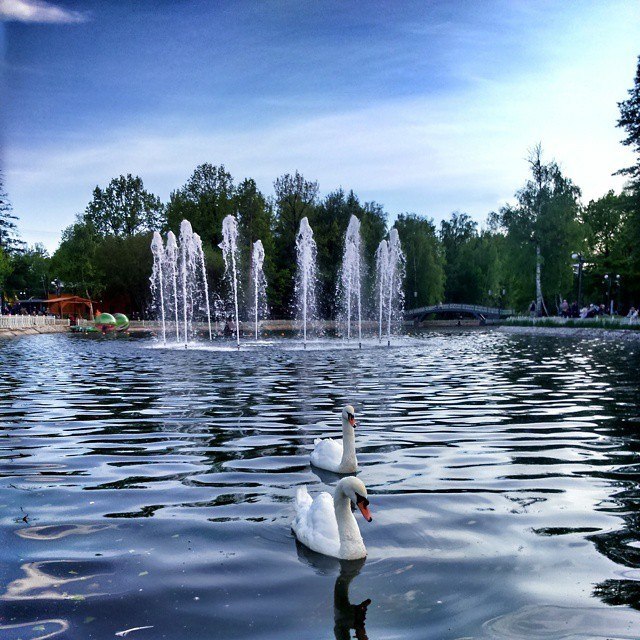 Лианозовский парк - «Погулять»