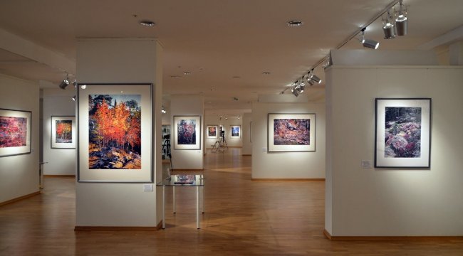 Галерея классической фотографии - «Музеи»