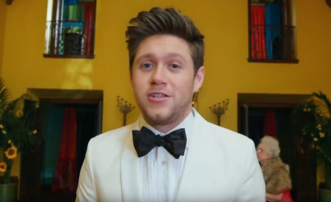 Niall Horan — No Judgement, новый клип - «Новости Музыки»