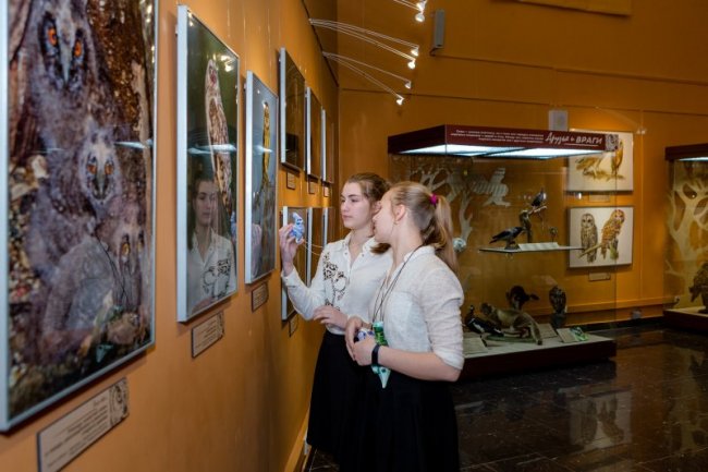День совы в Дарвиновском музее 2020 - «Праздники»