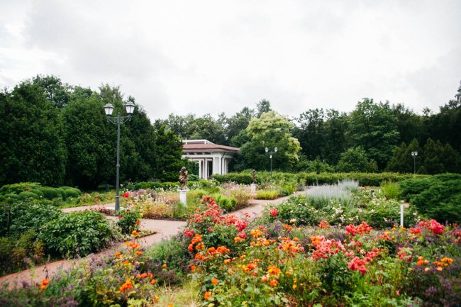 Открытие большого розария в парке «Сокольники» 2020 - «Активный отдых»