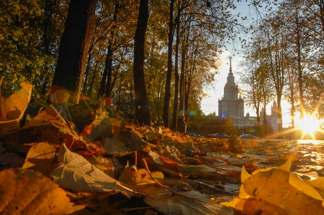 Топ-10 лучших событий на выходные 10 и 11 октября в Москве - «Активный отдых»
