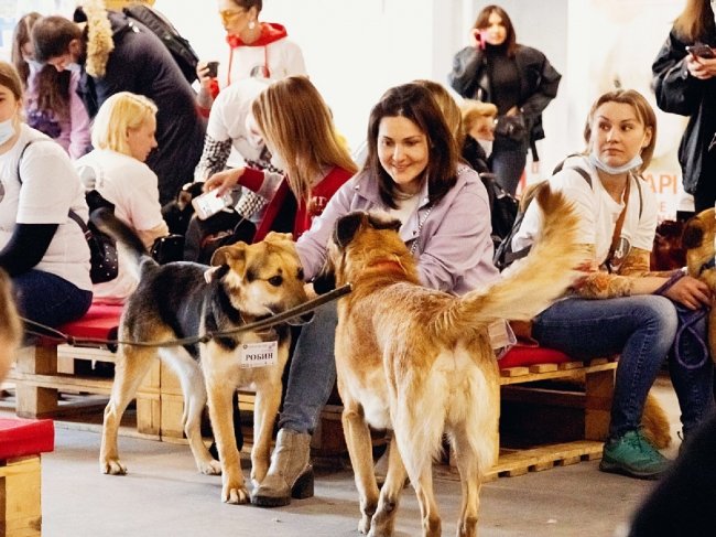 Юбилейный фестиваль «Собаки, которые любят» 2021 - «С детьми»