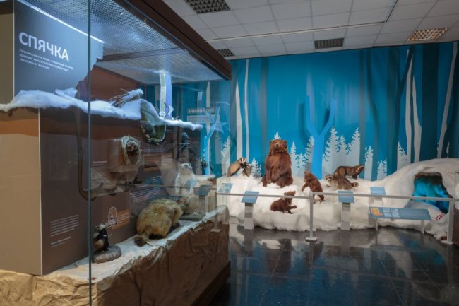 Всемирный день снега в Дарвиновском музее 2023 - «С детьми»