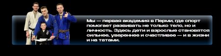 Школа единоборств