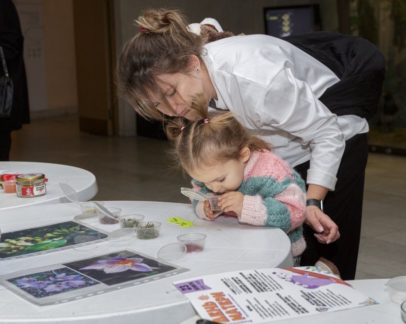 День матери в Дарвиновском музее 2025 - «С детьми»