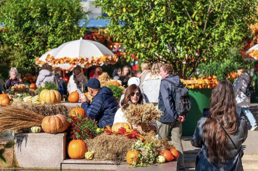 Топ-10 лучших событий на выходные со 2 по 4 ноября в Москве 2025 - «Активный отдых»