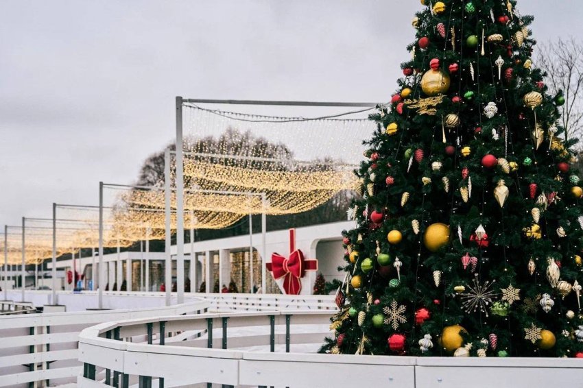 Каток на Царской набережной музея-заповедника «Коломенское» 2025–2026 - «С детьми»