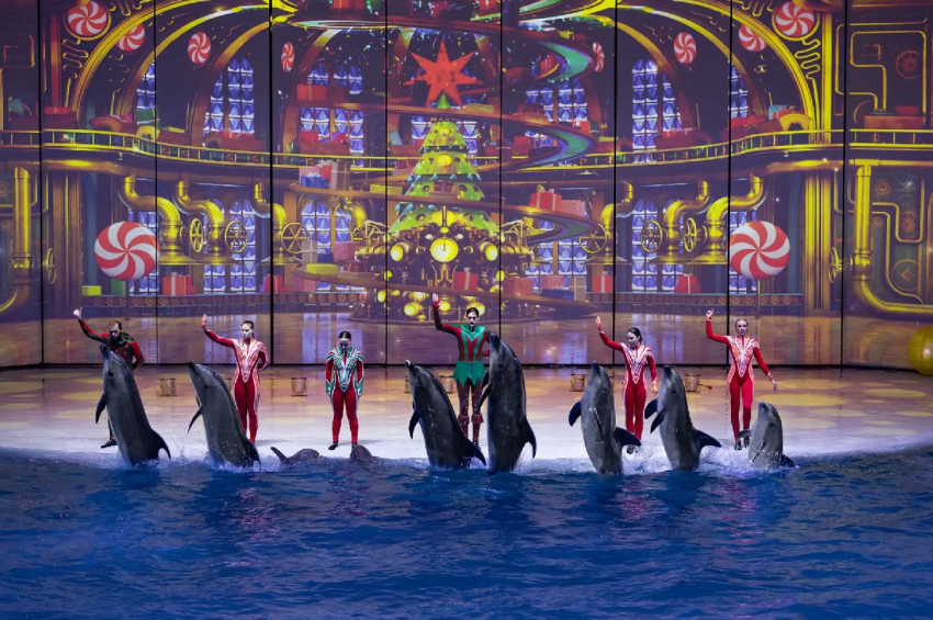 Сказочное водное шоу «Кощей» 2025–2026 - «Шоу»