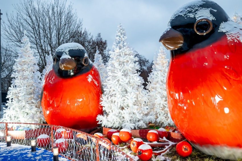 Зима на Воробьевых горах 2025–2026 - «Фестиваль»