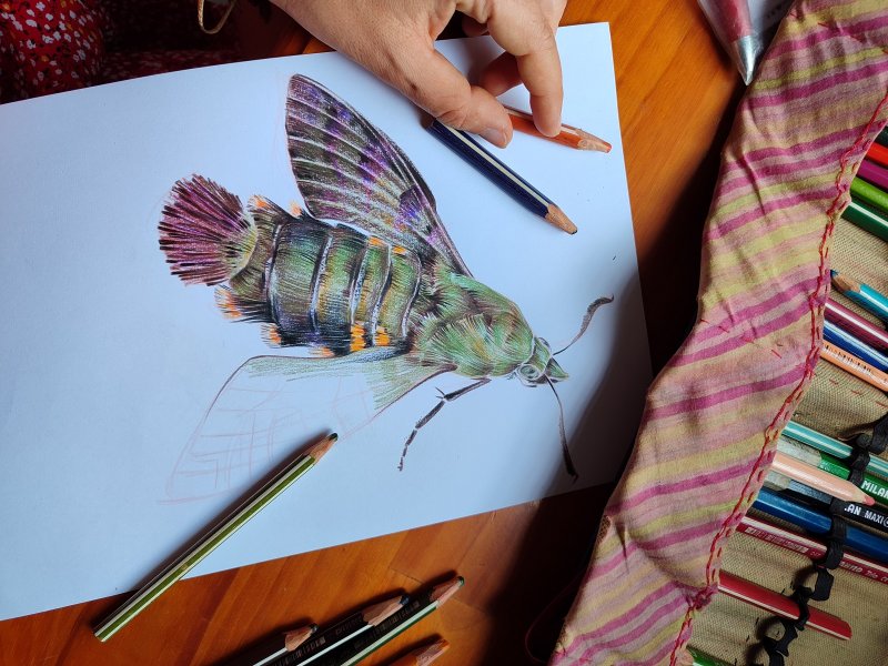 Выставка «Ярче не бывает» - «Выставки»