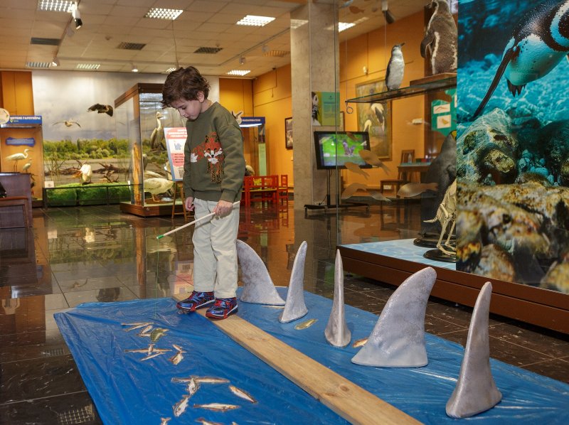 День российской науки в Дарвиновском музее 2026 - «Образование»