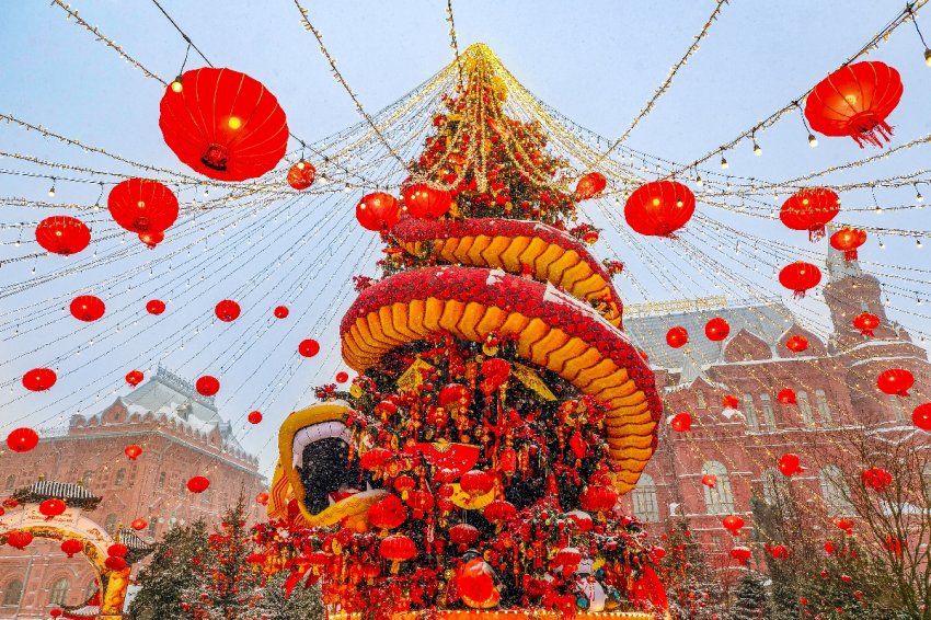 Топ-10 лучших событий на выходные с 21 по 23 февраля в Москве 2026 - «Выставки»