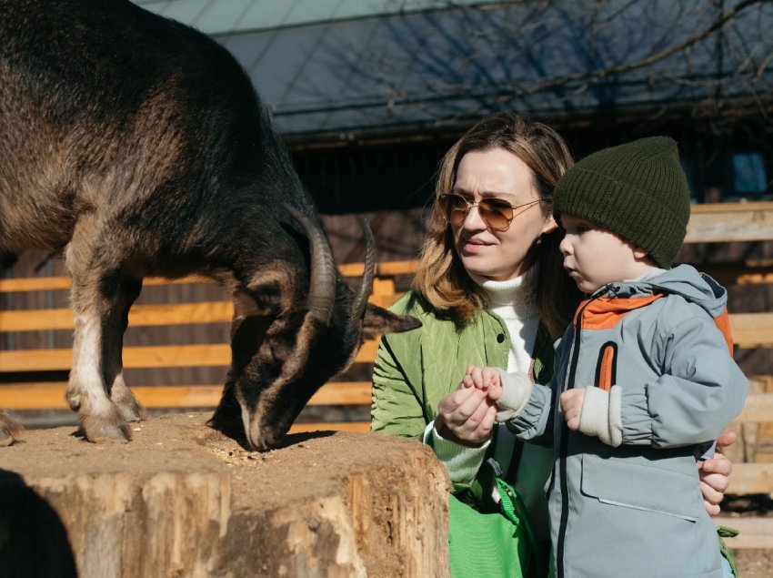 День весеннего равноденствия на Городской ферме ВДНХ 2026 - «Праздники»
