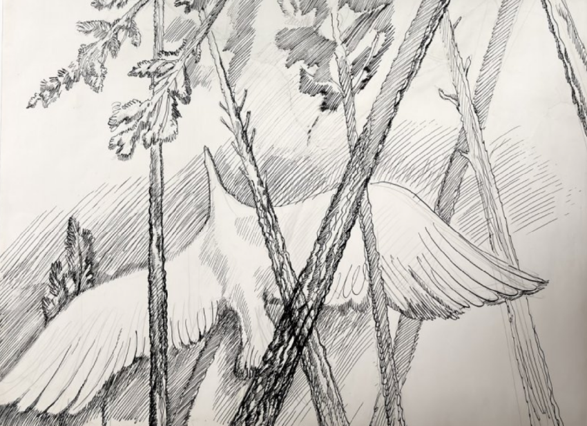 Выставка «Полёт» - «Выставки»