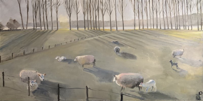 Выставка «Дневник наблюдений» - «Выставки»