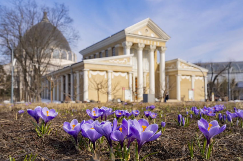Экологический марафон «Полезная весна» 2026 - «Фестиваль»