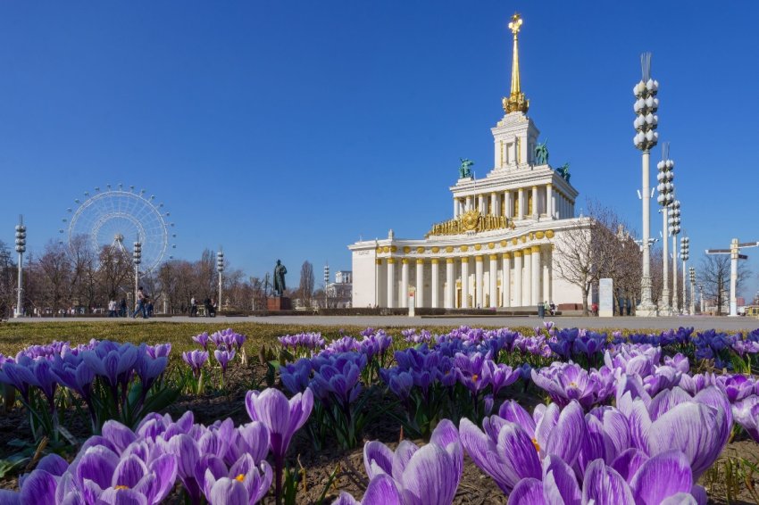 Топ-10 лучших событий на выходные 11 и 12 апреля в Москве 2026 - «Праздники»