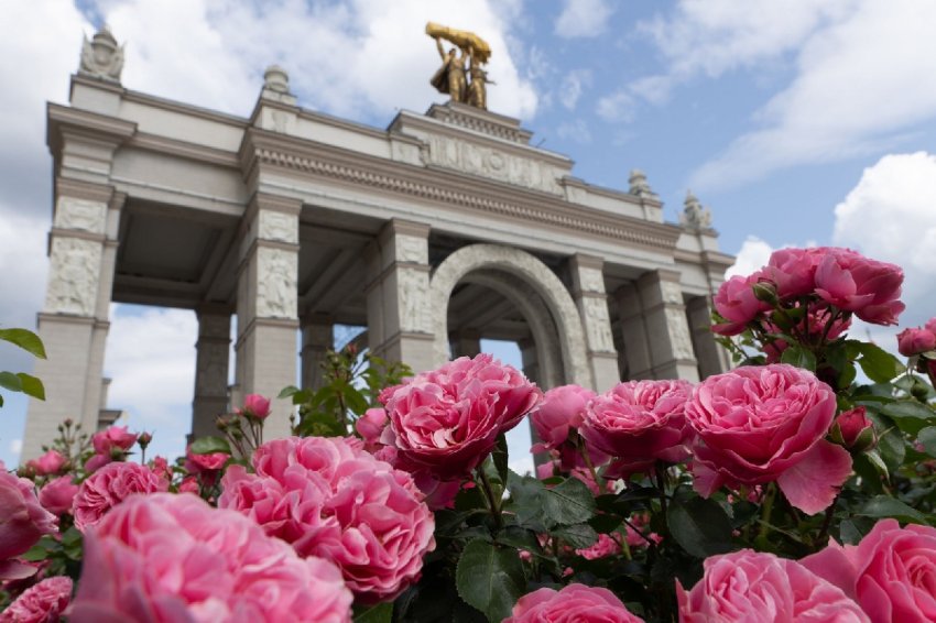 Топ-10 лучших событий на выходные 18 и 19 апреля в Москве 2026 - «Выставки»